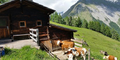Pensionen - Umgebungsschwerpunkt: Berg - Tirol - Jungvieh auf der Alm - Bergerhof