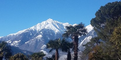 Pensionen - Terrasse - Italien - Palmen, Zypressen und im Hintergrund verschneite Bergspitzen... - Pension Plarserhof