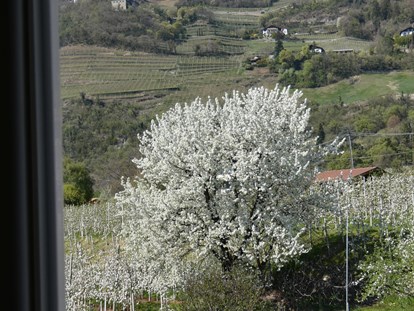 Pensionen - Garten - Italien - Unser einzigartiger Frühling erfreut alle nach einem langen Winter.   - Residence Sonnengarten**
