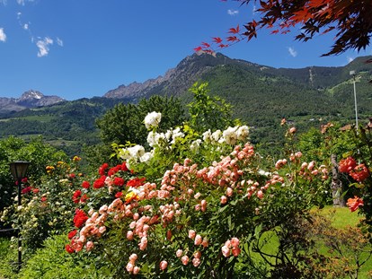 Pensionen - Wanderweg - Italien - Bei strahlendblauem Himmel, bunter Blumenpracht, mit frischer, vom blumigen Aroma erfüllter Luft  werden alle Ihre Sinne geweckt. - Residence Sonnengarten**