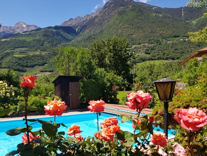 Pensionen - Garten - Italien - Umgeben von einer traumhaft schönen Kulisse lässt es sich im Schwimmbad herrlich planschen.   - Residence Sonnengarten**