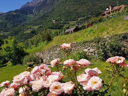Pensionen - Trentino-Südtirol - In dieser Idylle fehlen nur mehr der Liegestuhl und Sie. - Residence Sonnengarten**