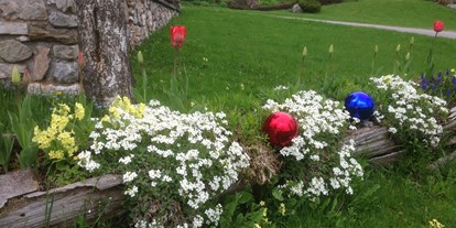 Pensionen - Hunde: hundefreundlich - Schladming - Frühlingsblumen im alten Brunnen - Bio-Bauernhof Simonbauer