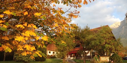 Pensionen - Hunde: erlaubt - Steiermark - ein herrlicher Herbsttag - Bio-Bauernhof Simonbauer