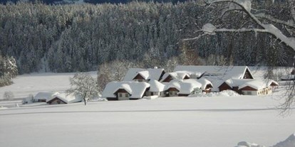 Pensionen - Hunde: hundefreundlich - hintere Nord-Winter Ansicht - Bio-Bauernhof Simonbauer