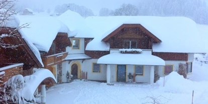 Pensionen - Umgebungsschwerpunkt: Therme - Steiermark - Schneetreiben - Bio-Bauernhof Simonbauer