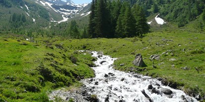 Pensionen - Tiroler Oberland - Natur  - Gasthof Alpenblick