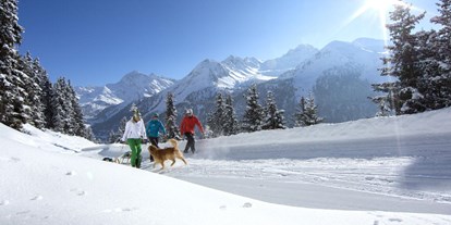 Pensionen - Terrasse - Tirol - Winterwandern im Ötztal - Ferienwohnung der Veitenhof Niederthai Familienurlaub - Bio & Reiterhof der Veitenhof