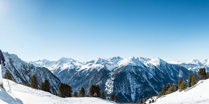 Pensionen - Umgebungsschwerpunkt: am Land - Tirol - Skifahren in Hochoetz - Ferienwohnung der Veitenhof Niederthai Ötztal - Bio & Reiterhof der Veitenhof
