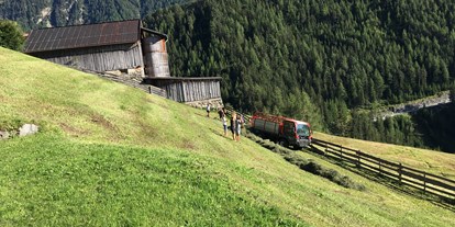 Pensionen - Umgebungsschwerpunkt: am Land - Tirol - Appartements Biobauernhof der Veitenhof Heuernte Sommer Niederthai im Ötztal in Tirol  - Bio & Reiterhof der Veitenhof