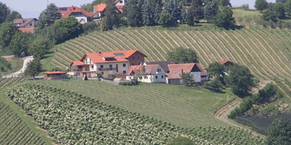 Pensionen - weitere Verpflegungsmöglichkeiten: Nachmittagskaffee - Steiermark - Weinbauernhof Amtmann