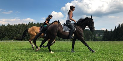 Pensionen - weitere Verpflegungsmöglichkeiten: Abendessen - Steiermark - Unser Steckenpferd sind die Pferde - Das Leitner Home&Horse (Narnhoferwirt)