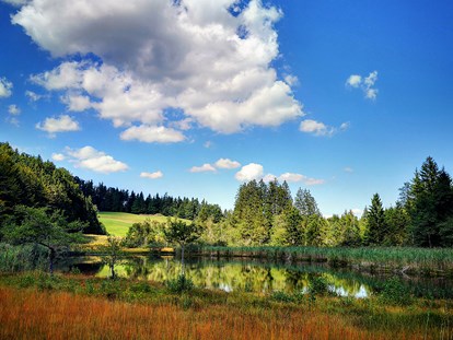 Pensionen - Umgebungsschwerpunkt: See - Naturschutzgebiet "Egelsee" 5.min vom Margarethengut - Ferienhof Margarethengut