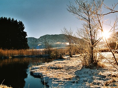 Pensionen - Kühlschrank - Naturschutzgebiet "Egelsee" im Winter 5.min vom Margarethengut - Ferienhof Margarethengut