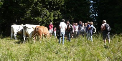 Pensionen - Umgebungsschwerpunkt: Fluss - Österreich - Unsere Kühe auf der Alm. - Waldpension Ranner