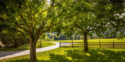 Pensionen - Art der Pension: Ferienwohnung - Pinzgau - Obstbäume - Obertrattenbachhof