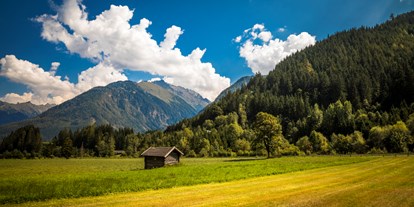 Pensionen - Art der Pension: Urlaub am Bauernhof - Pinzgau - Blick vom Haus - Obertrattenbachhof
