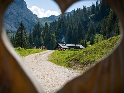 Pensionen - Art der Pension: Urlaubspension - Wandern von Hütte zu Hütte - KOMFORT-FEWO BERGWELT HAHNENKAMM   - Lechtal - So/Wi