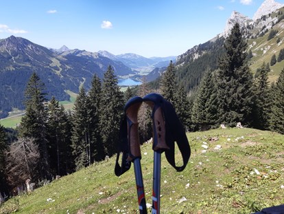 Pensionen - WLAN - Tirol - Wandern Bergwelt Hahnenkamm - KOMFORT-FEWO BERGWELT HAHNENKAMM   - Lechtal - So/Wi