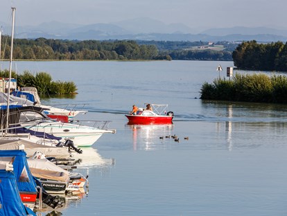 Pensionen - WLAN - die Donau mit Blick über den schönen kleinen Hafen von Au an der Donau - Pension Au an der Donau
