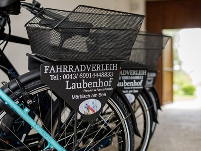 Pensionen - Kühlschrank - Österreich - E-Bike Verleih vor Ort - Pension Laubenhof