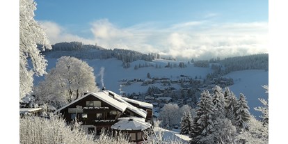Pensionen - Pool - Winter mit Blick nach Osten - Panorama Lodge Sonnenalm Hochschwarzwald