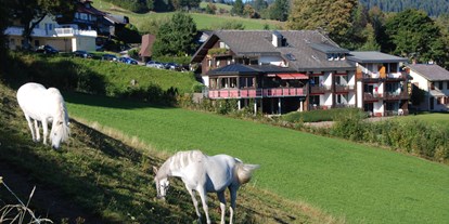Pensionen - Pool - Panorama Lodge Sonnenalm Hochschwarzwald