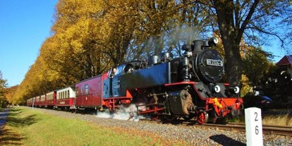 Pensionen - Mecklenburg-Vorpommern - historische Dampfeisenbahn Molli - Ostsee Hotel-Pension An der Lindenallee Bad Doberan