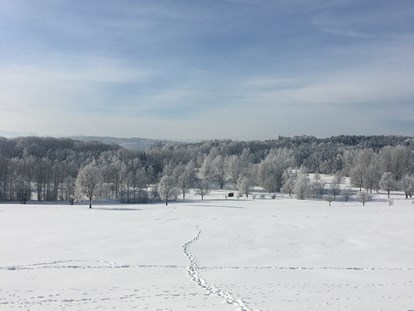 Pensionen - Kühlschrank - Traumlandschaft im Winter
Aufgenommen in Zaißing 2020 - Pension am Weberhof