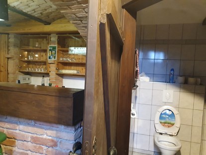 Pensionen - Fahrradverleih - Österreich - In Keller befindet sich ein historisches Gewölbekeller mit einer Bar und einem Badezimmer (Toilette/ Dusche). - Casa Zara